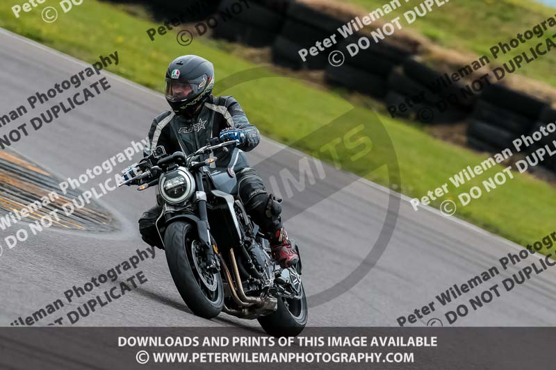 PJ Motorsport 2019;anglesey no limits trackday;anglesey photographs;anglesey trackday photographs;enduro digital images;event digital images;eventdigitalimages;no limits trackdays;peter wileman photography;racing digital images;trac mon;trackday digital images;trackday photos;ty croes